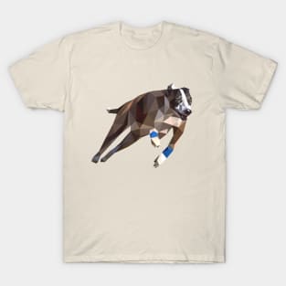 Speedy Greyhound T-Shirt